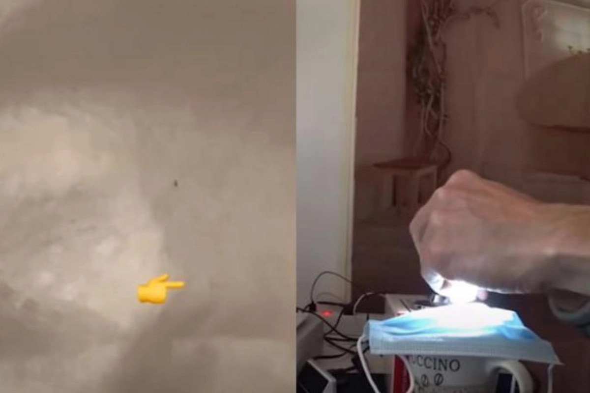 İstifadə etdiyimiz maskalarda qurd var? — VİDEO