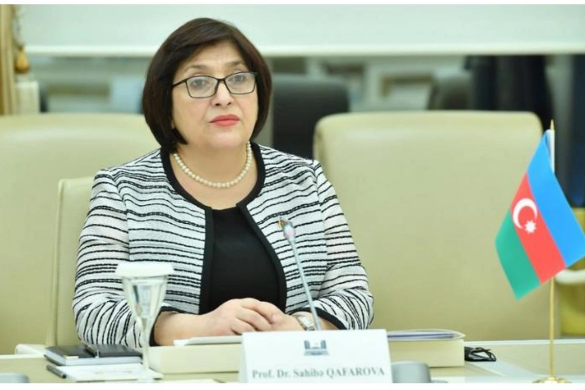 Sahibə Qafarova türkiyəli deputatlarla görüşdü — FOTO