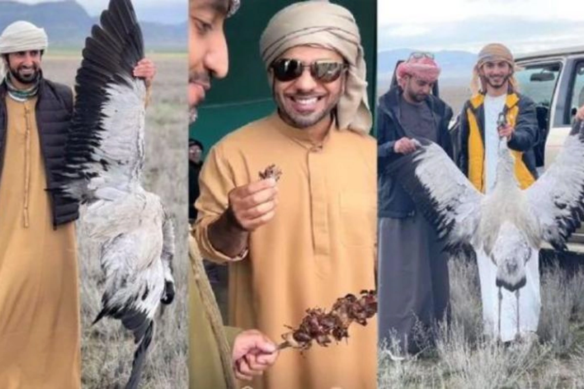 Ovçu ərəbləri Azərbaycana bu məmur gətirib — Onlardan nazirin adıyla pul alınıbmış