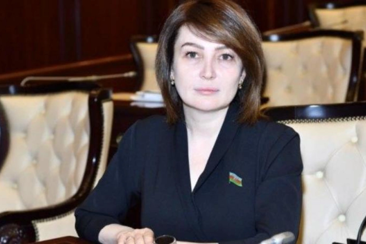 Xanım deputat bir vəzifəsindən istefa verdi
