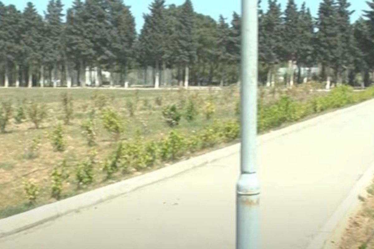Böyük futbola ehtiyac olmayanda: Sumqayıtda stadionun ortasından yol çəkildi — VİDEO