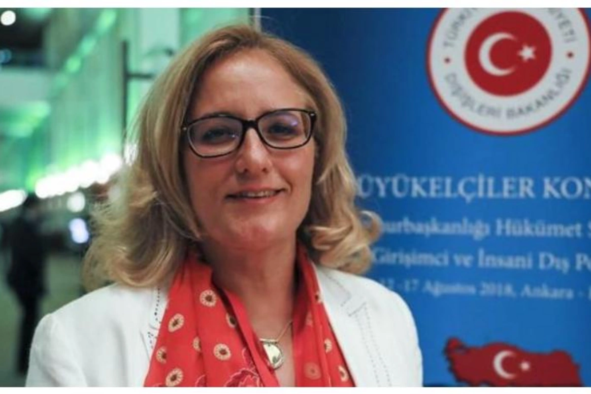 Türkiyənin Gürcüstandakı səfirindən Sarkisyanın təxribatına CAVAB