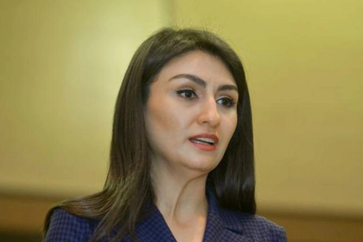 “Media qurumlarına vergi güzəştləri olunacaq”