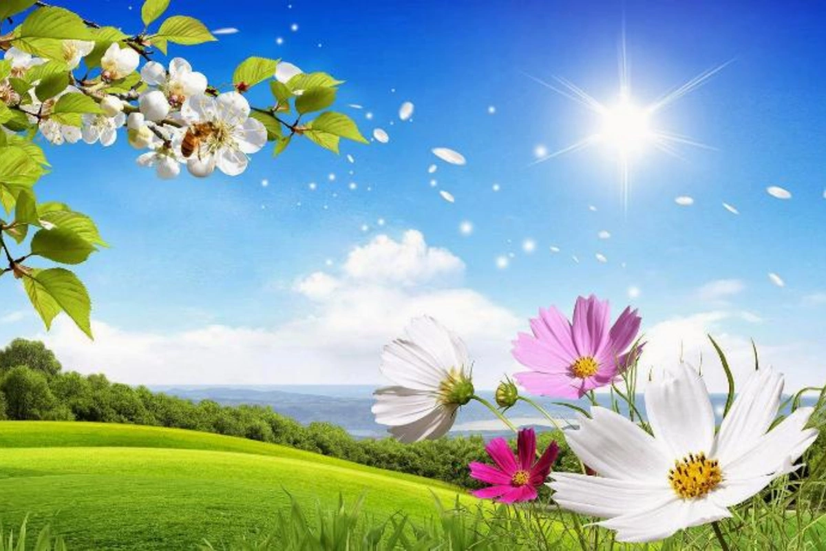 Sabah 36 dərəcə isti olacaq