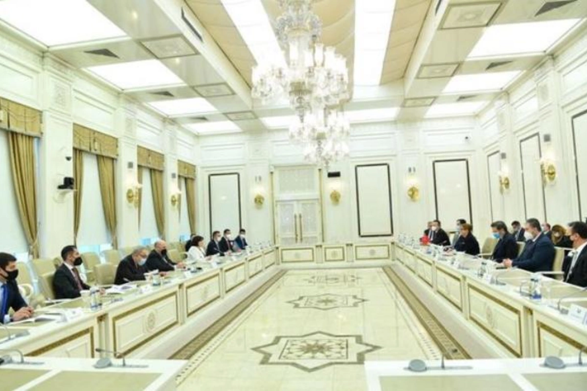Sahibə Qafarova Türkiyənin ticarət naziri ilə görüşdü — FOTO