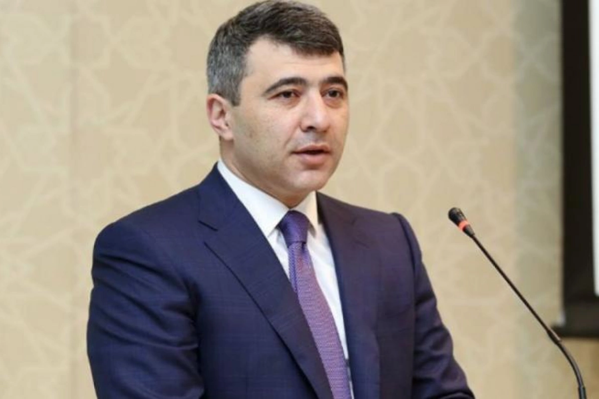 Siyasi fəal İnam Kərimova sual ünvanladı: Söküb hasarlamaq niyə belə baha çıxıb?