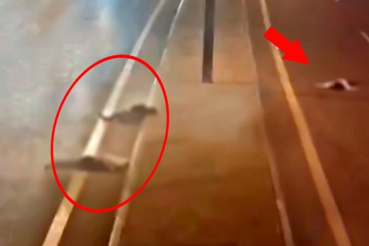 Mikroavtobus və minik avtomobili toqquşdu, xəsarət alanlar var