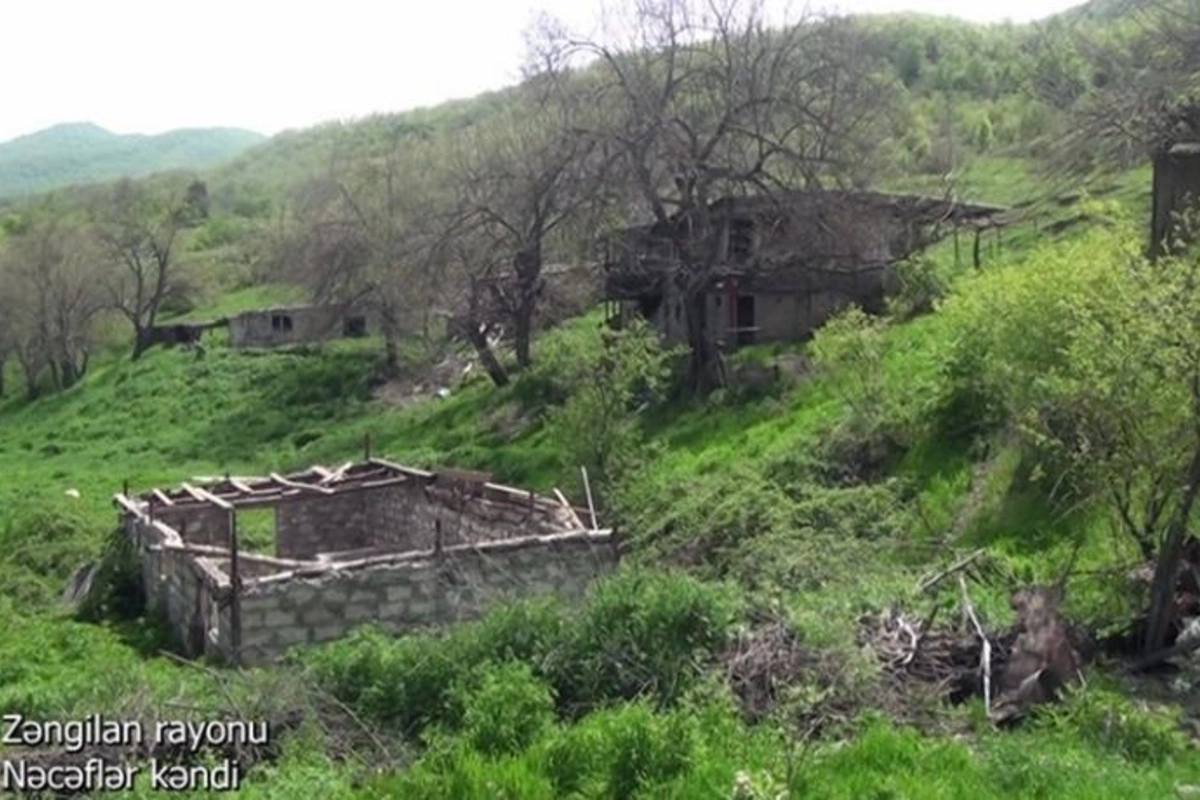 Zəngilanın Nəcəflər kəndi — VİDEO