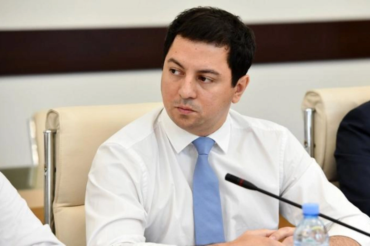 Gürcüstan parlamentinin sədri istefa verdi