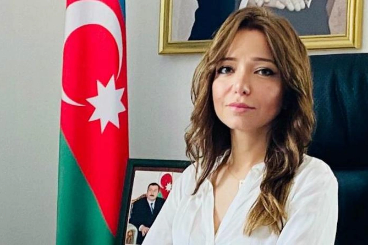 İlham Əliyevin geri çağırdığı xanım səfir kimdir? — DOSYE