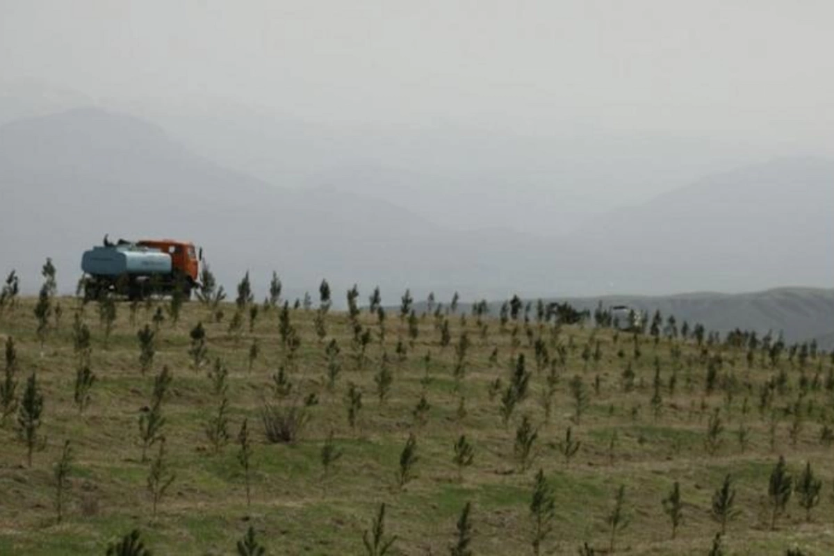 Azad edilmiş ərazilərdə kənd təsərrüfatı təyinatlı torpaqlar icarəyə veriləcək