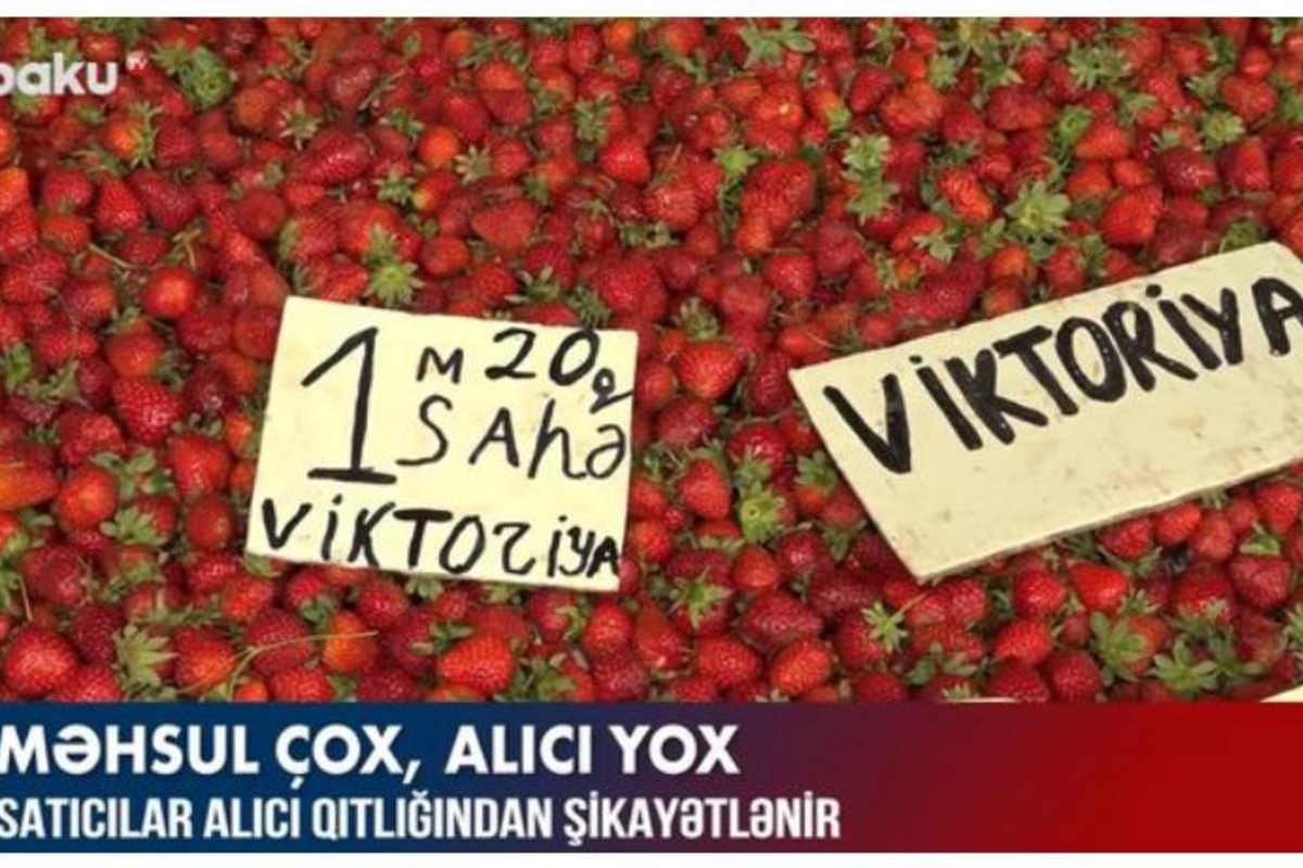 Bazarda satıcılar alıcı qıtlığından şikayətlənir — VİDEO