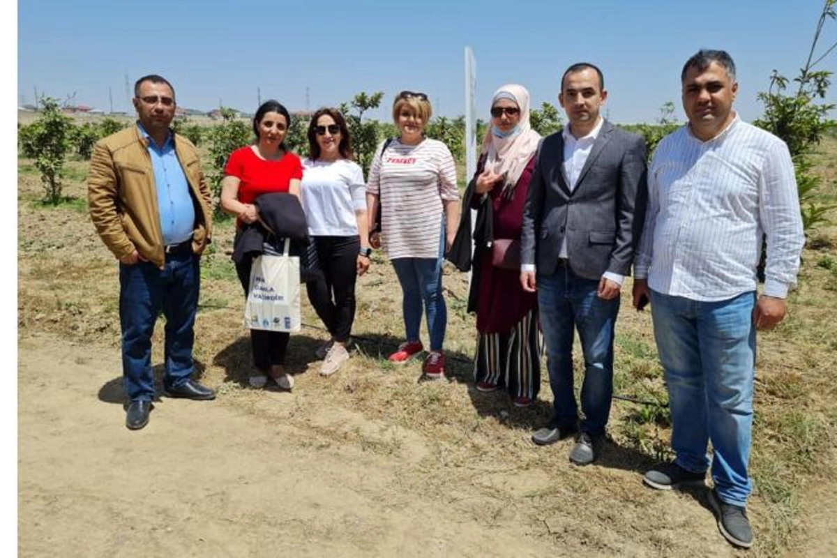 Jurnalistlər “Yaşıl qələm” bağında əkilən ağaclara qulluq etdilər — FOTOLAR