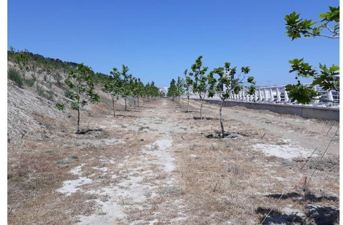 Məmurlar içində tanıdığım ən səmimi insan Hacıbaladır — Aslan İsmayılovla Xan çinar parkında SÖHBƏT (FOTOLAR) Məmurlar içində tanıdığım ən səmimi insan Hacıbaladır — Aslan İsmayılovla Xan çinar parkında SÖHBƏT (FOTOLAR)