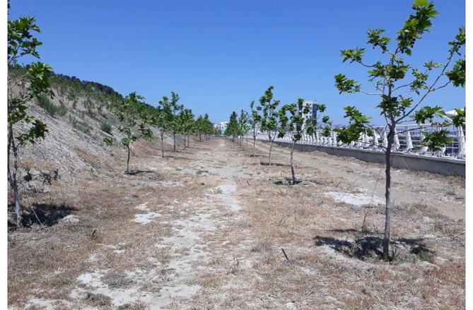 Məmurlar içində tanıdığım ən səmimi insan Hacıbaladır — Aslan İsmayılovla Xan çinar parkında SÖHBƏT (FOTOLAR) Məmurlar içində tanıdığım ən səmimi insan Hacıbaladır — Aslan İsmayılovla Xan çinar parkında SÖHBƏT (FOTOLAR)