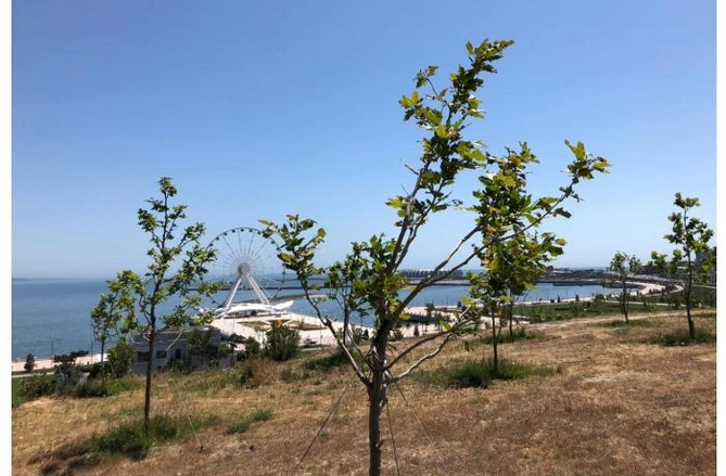 Məmurlar içində tanıdığım ən səmimi insan Hacıbaladır — Aslan İsmayılovla Xan çinar parkında SÖHBƏT (FOTOLAR) Məmurlar içində tanıdığım ən səmimi insan Hacıbaladır — Aslan İsmayılovla Xan çinar parkında SÖHBƏT (FOTOLAR)