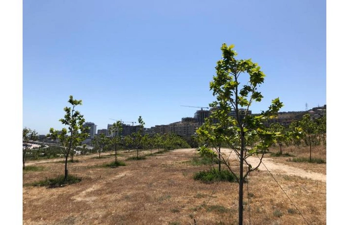 Məmurlar içində tanıdığım ən səmimi insan Hacıbaladır — Aslan İsmayılovla Xan çinar parkında SÖHBƏT (FOTOLAR) Məmurlar içində tanıdığım ən səmimi insan Hacıbaladır — Aslan İsmayılovla Xan çinar parkında SÖHBƏT (FOTOLAR)