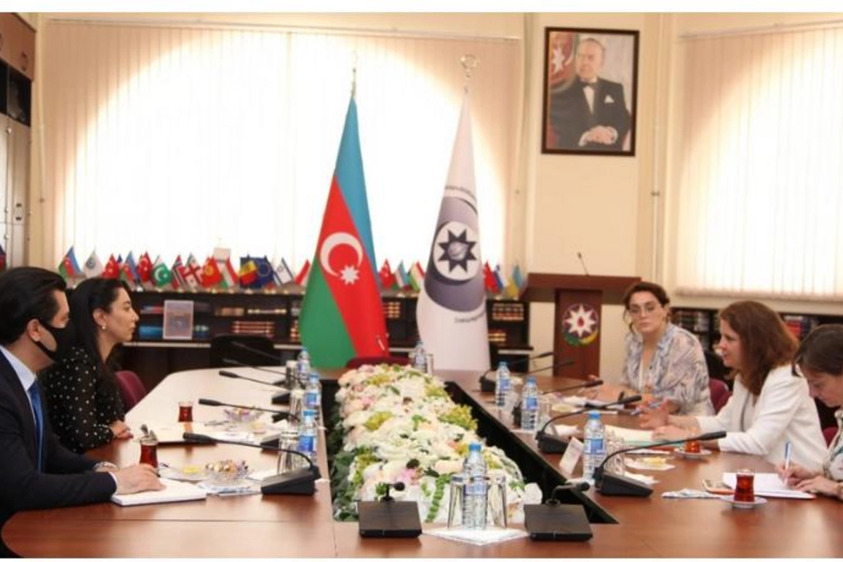 Ombudsman BQXK nümayəndəsi qarşısında minalarla bağlı məsələ qaldırdı