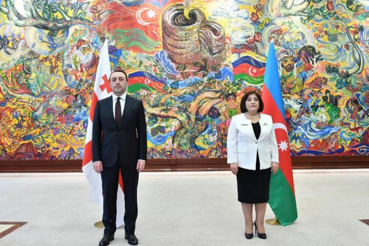 Sahibə Qafarova Gürcüstanın Baş naziri ilə görüşdü — FOTO