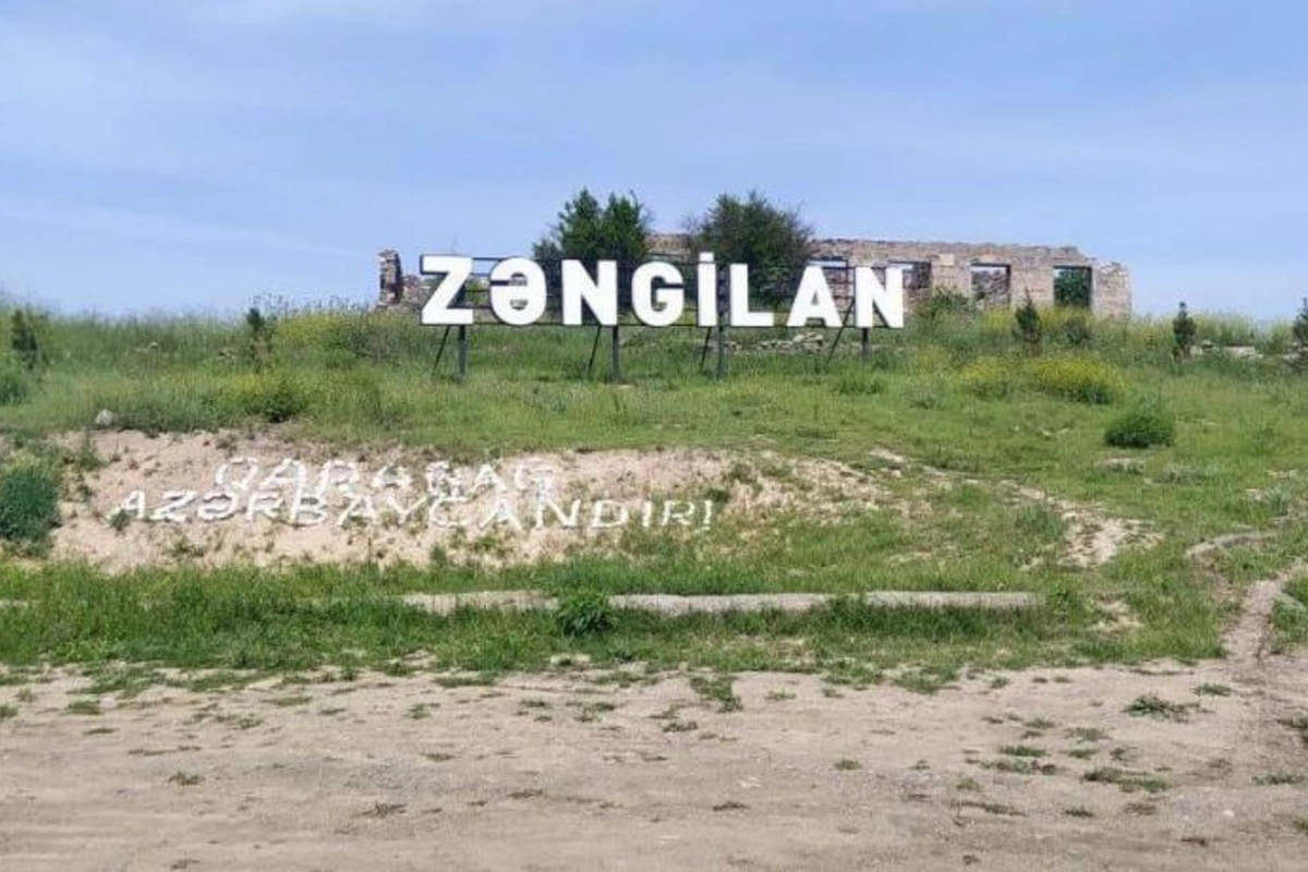 Zəngilanda əkilən palıd toxumları cücərməyə başlayıb