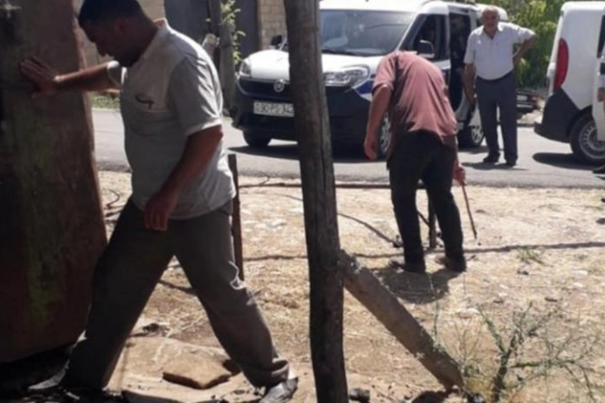Şamaxıda heyvan kəsimi məntəqələrində reydlər keçirildi