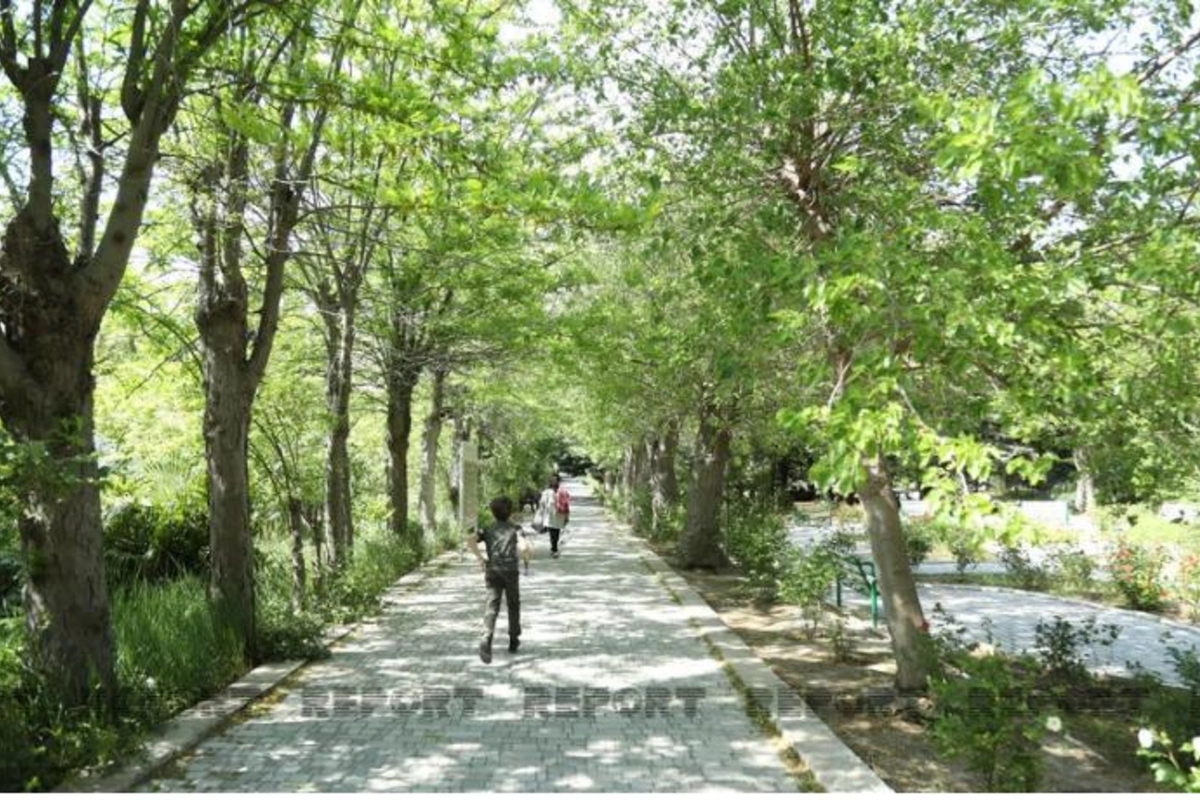 Bakıda yeni Nəbatat bağı salınacaq