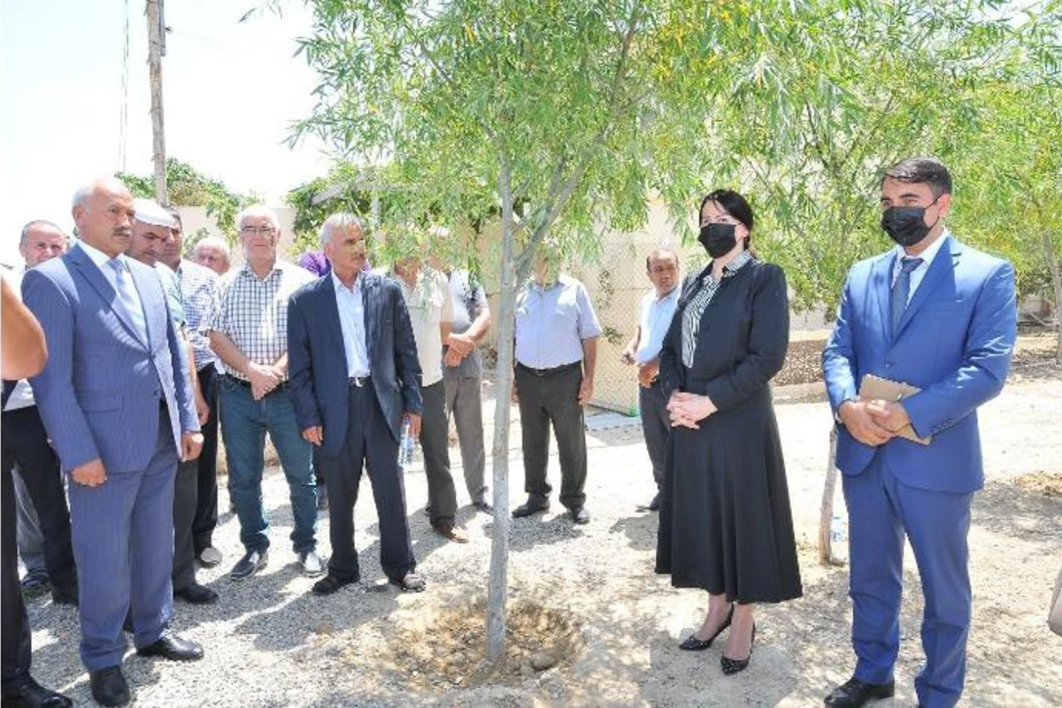 Sarayda 7 küçə asfaltlandı — İradə Gülməmmədova əraziyə gəldi (FOTOLAR)