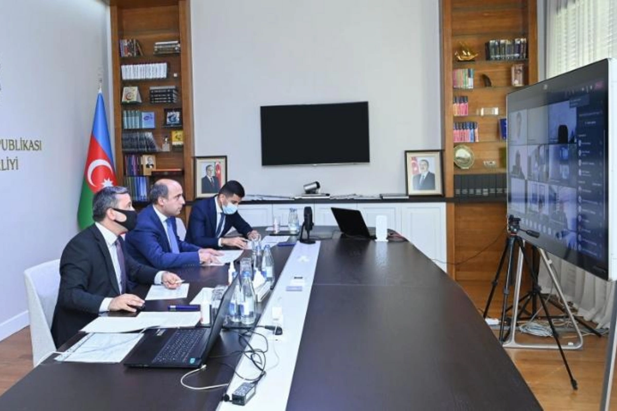 Təhsil naziri videoqəbul keçirdi