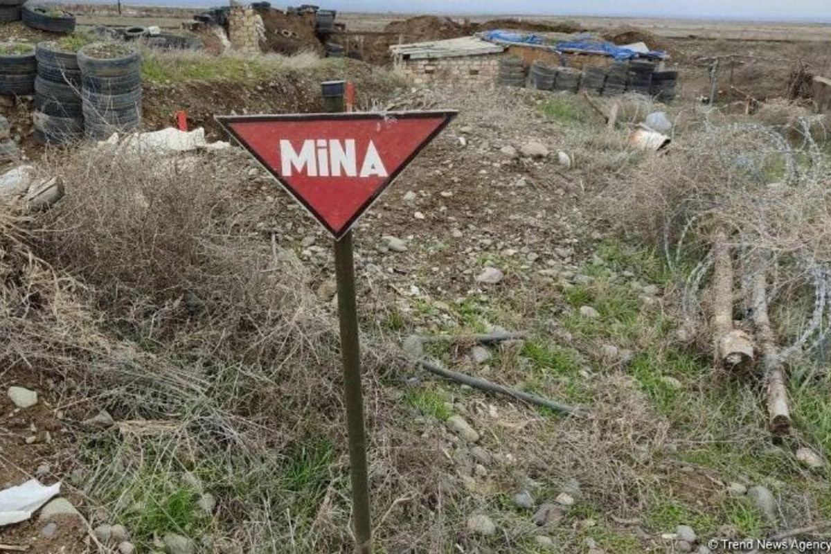 Azad edilən ərazilərdə minaya düşərək həlak olan və yaralananların sayı açıqlandı