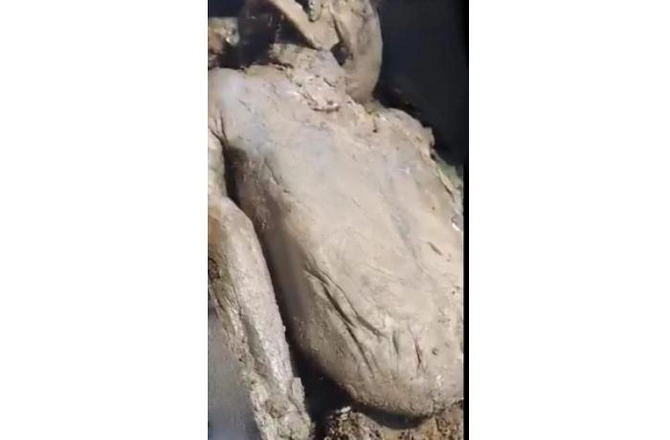 Deputat morqdan çürümüş erməni əsgərin meyidini paylaşdı — Foto Ermənistanı qarışdırdı Deputat morqdan çürümüş erməni əsgərin meyidini paylaşdı — Foto Ermənistanı qarışdırdı