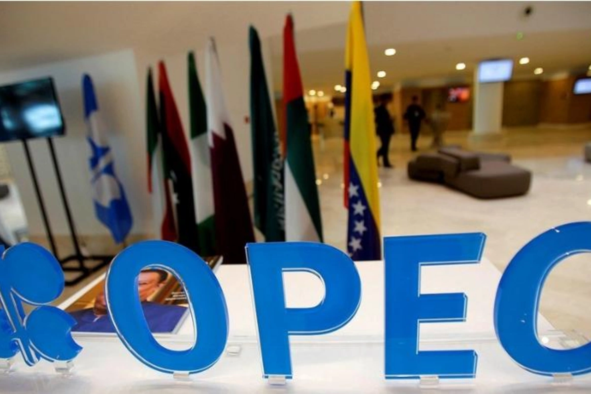 OPEC-in neft hasilatı artdı