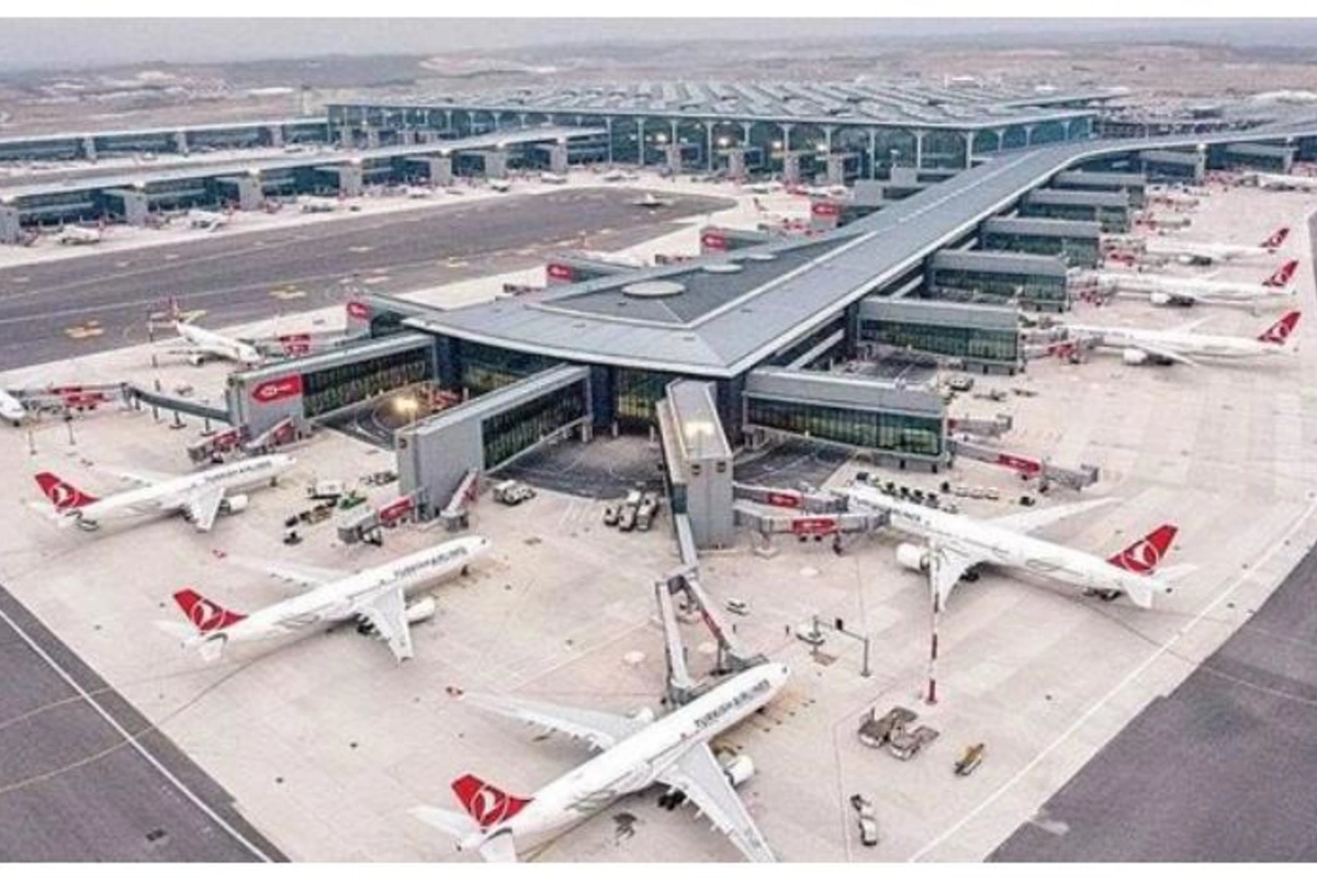 İstanbul hava limanına çəyirtkə sürüsü hücum edib