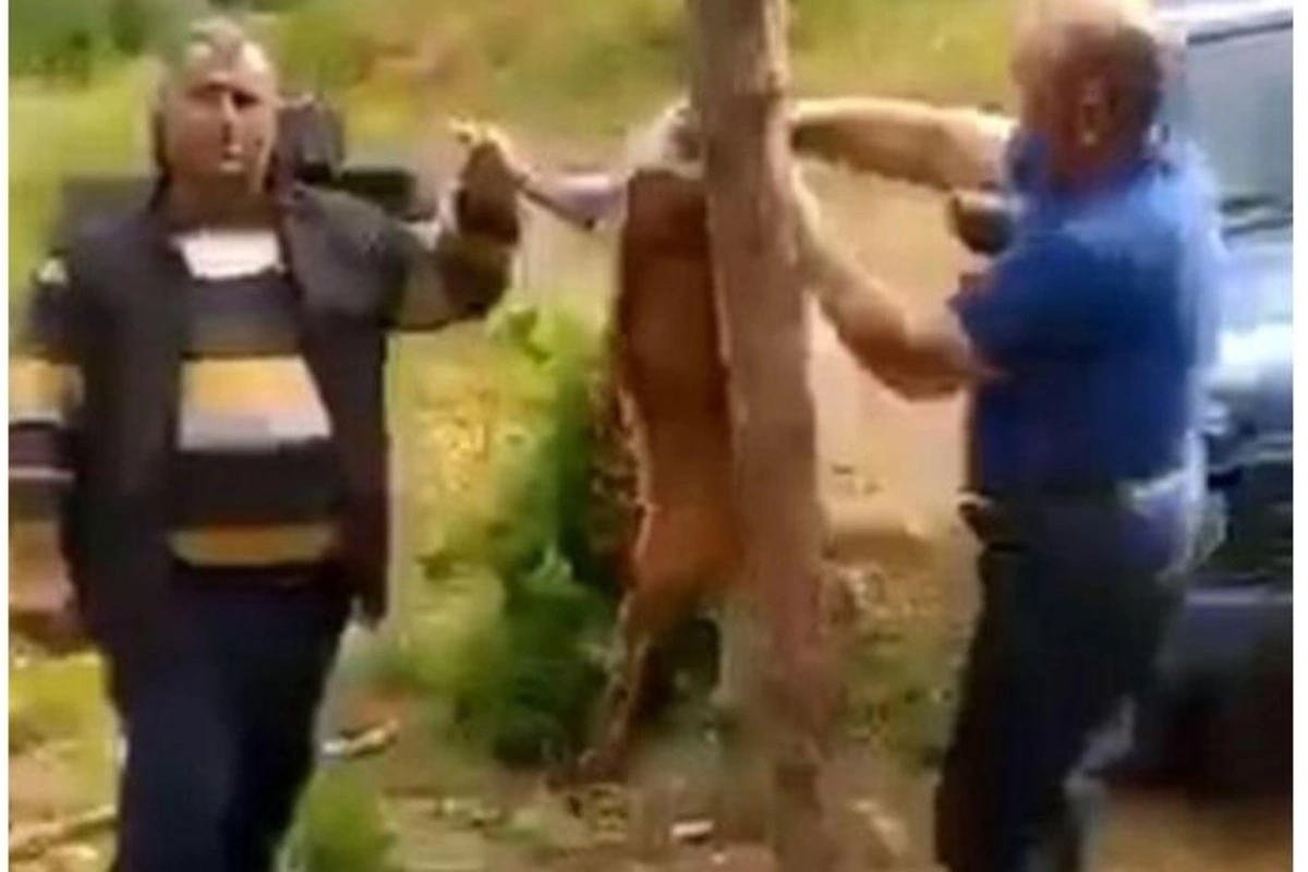 Laçında cüyür ovlayıb, məclis təşkil edənlərlə bağlı DİN-dən AÇIQLAMA — YENİLƏNİB/VİDEO