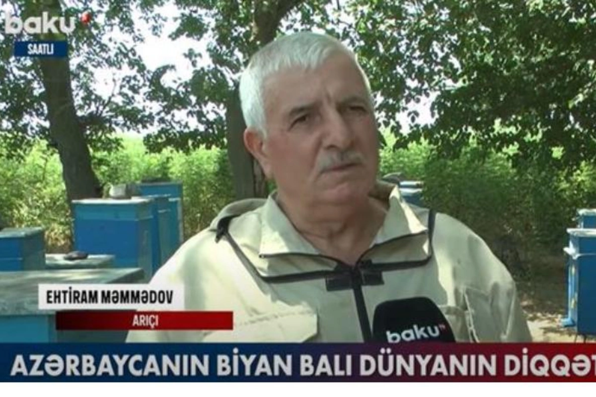 Ölkəmizdə istehsal olunan biyan balı dünyanın diqqətini çəkdi — VİDEO