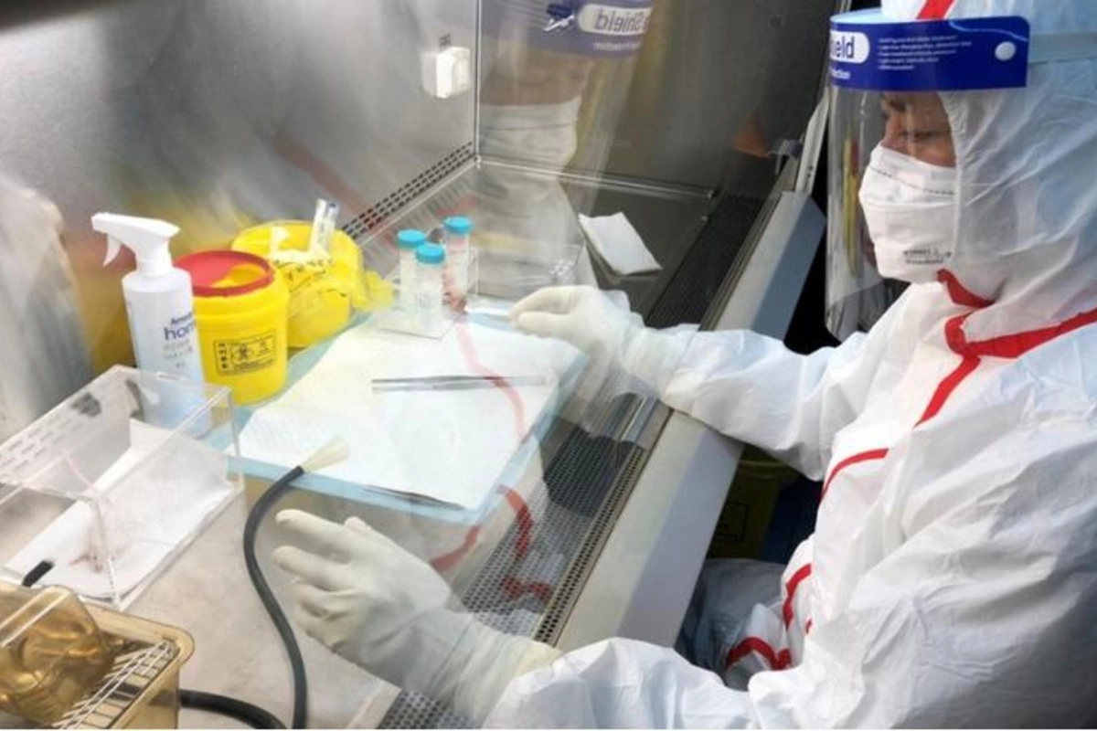 Çinli tədqiqatçılar: Koronavirus təbii yolla yaranıb