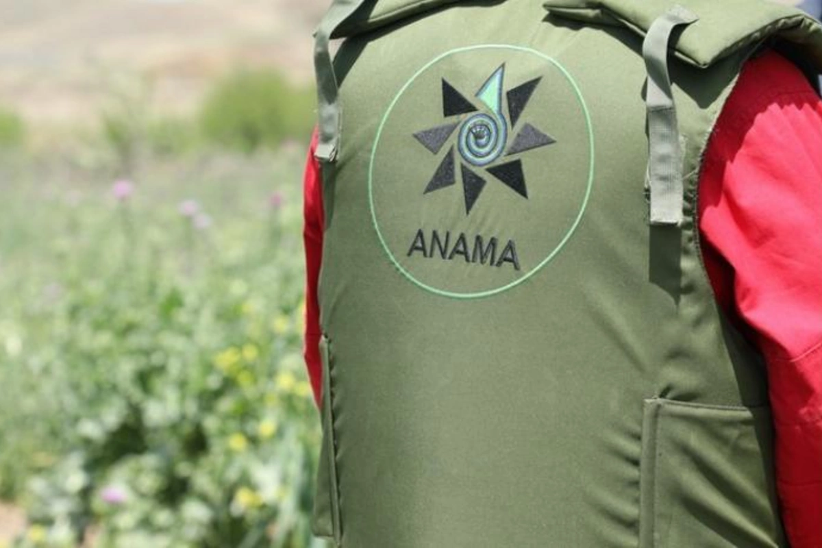 ANAMA ƏDV-dən azad edildi