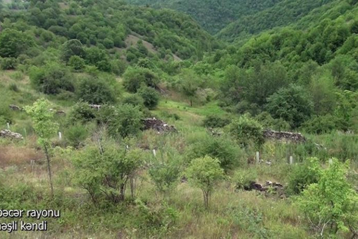 Kəlbəcərin Günəşli kəndindən görüntülər — VİDEO