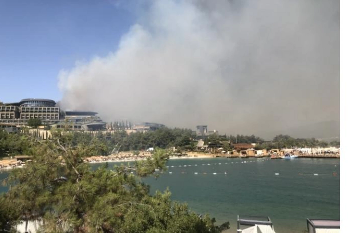 Bodrumda yanğına görə minlərlə insan təxliyə olundu