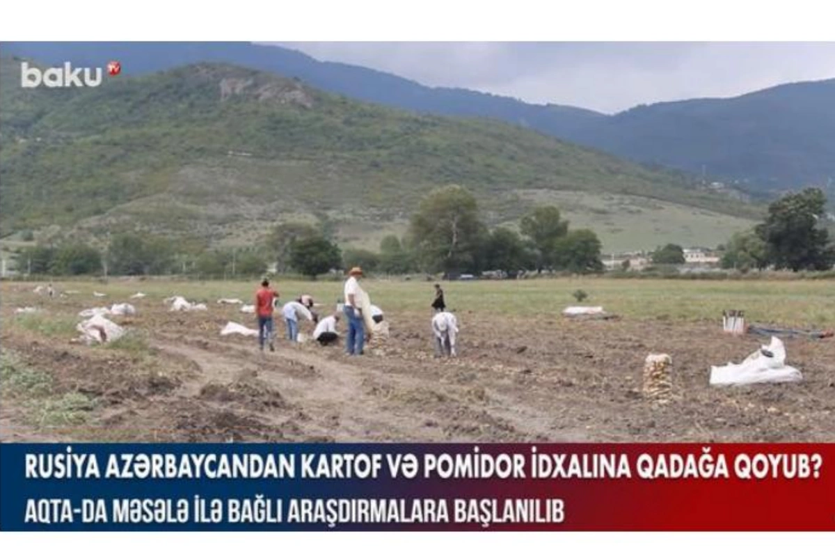 Rusiya Azərbaycandan kartof və pomidor idxalına qadağa qoyub? — VİDEO