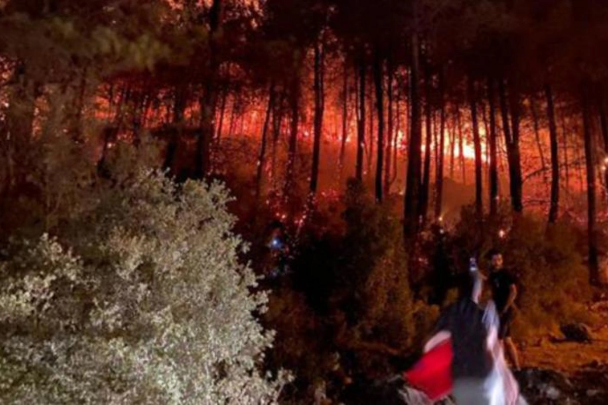 Fəthiyyədə də yanğın başladı — Molotov kokteyli ilə yandırılır