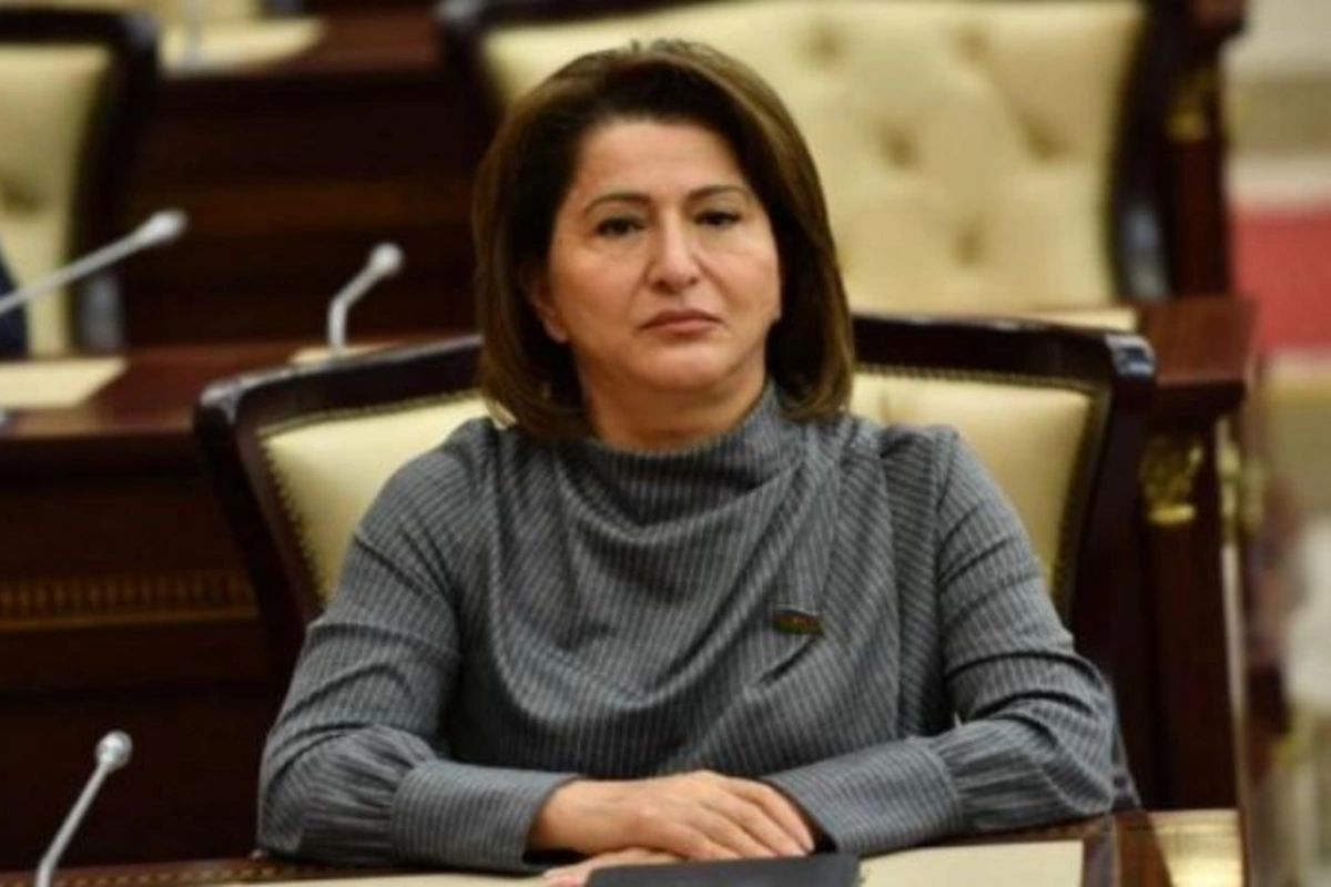 “Uşaqların cinsi istismar təhlükəsi var” — Deputat