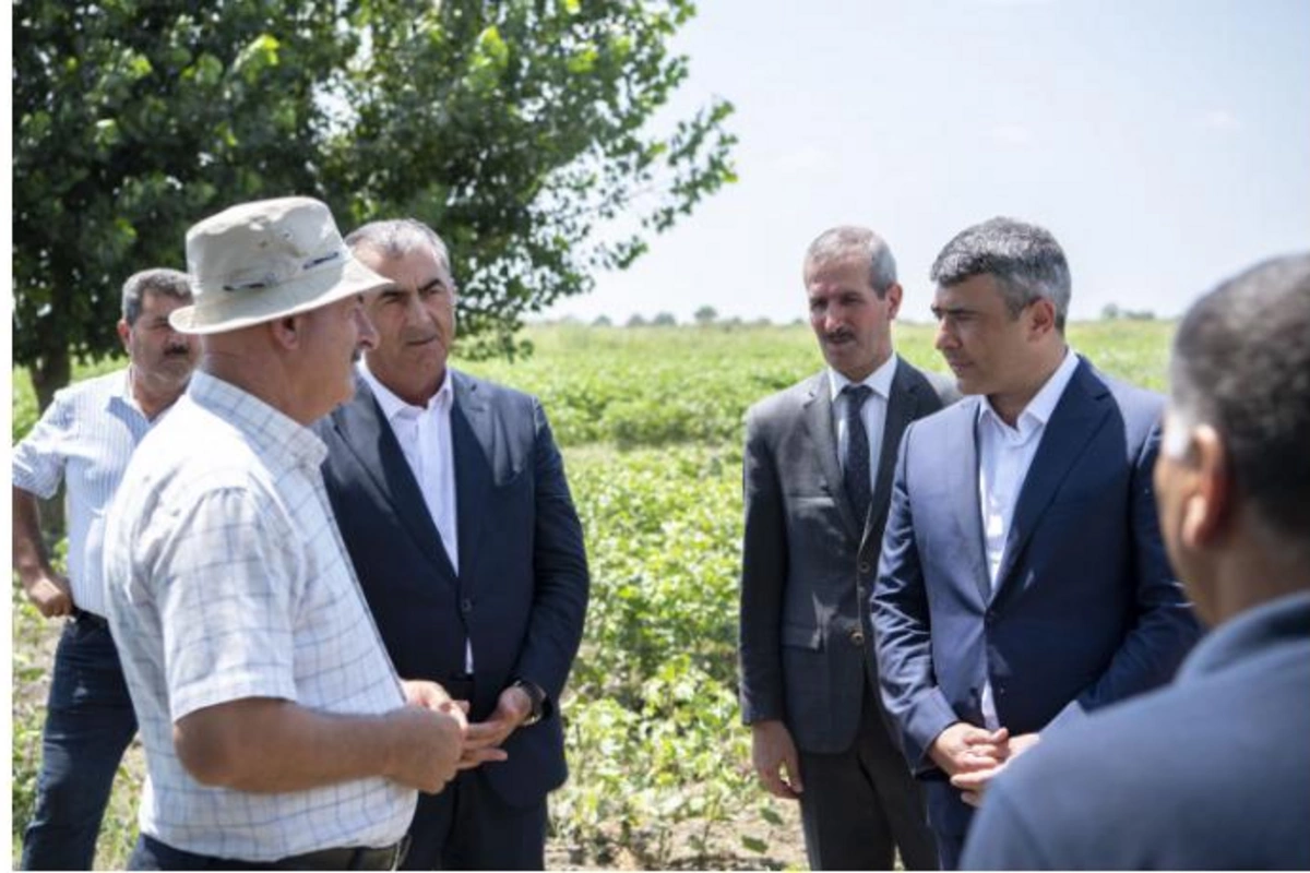 İnam Kərimov Salyanda pambıqçı fermerlərlə görüş keçirdi — FOTOLAR