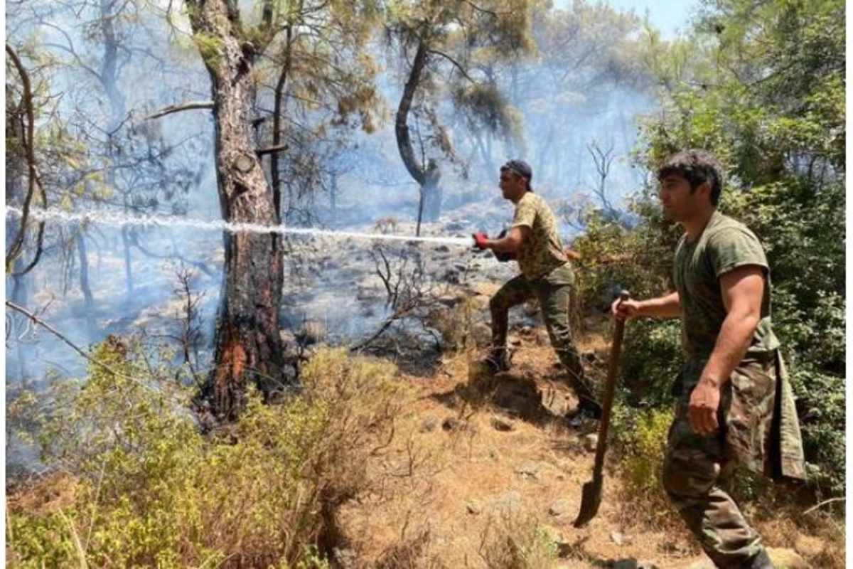 FHN-nin qüvvələri Türkiyədə yanğınlarla mübarizəni davam etdirir