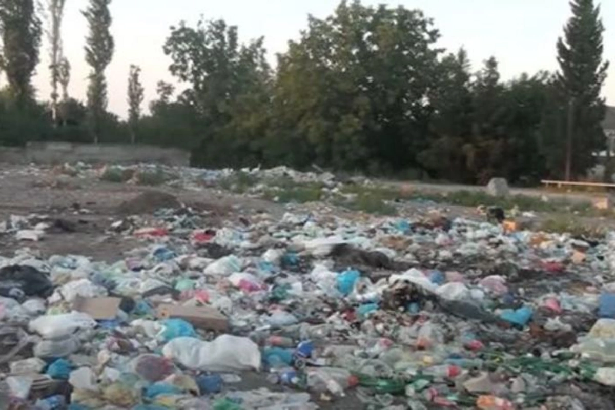 Zibil anbarına çevrilən kənd küçə itləri üçün oylağa çevrilib — VİDEO