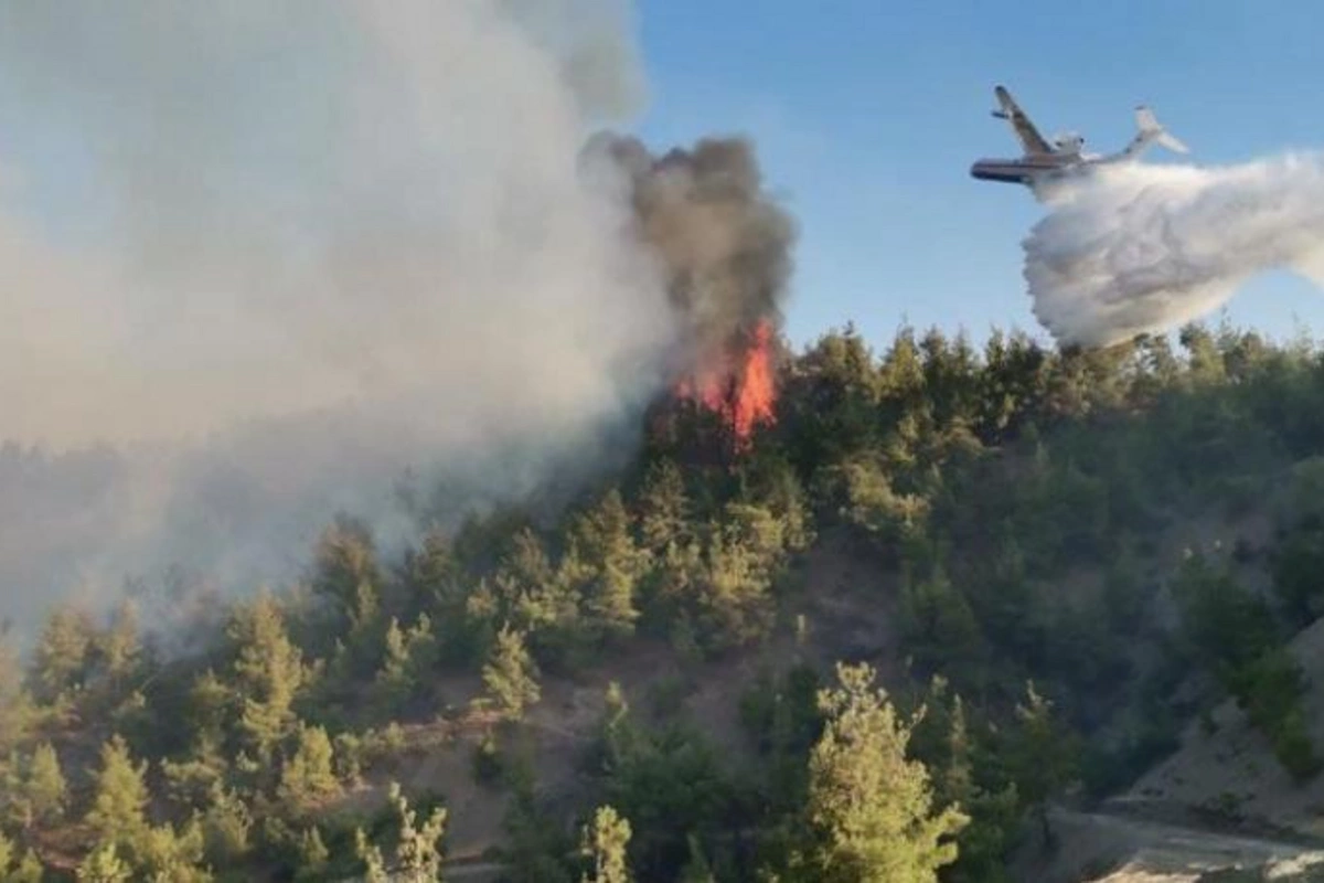 FHN: “Zaqatala, Qəbələ və Oğuzda yanğınlar davam edir”