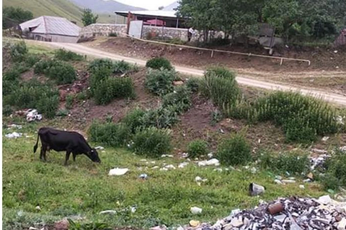Daşkəsəndə baş verənlər ancaq insanları ölkə rəhbərliyindən narazı salmağa yönəlib