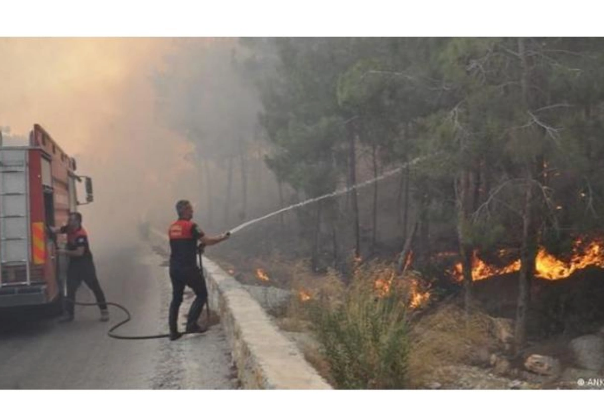 Türkiyədə meşə yanğınları lokallaşdırılıb — FOTO
