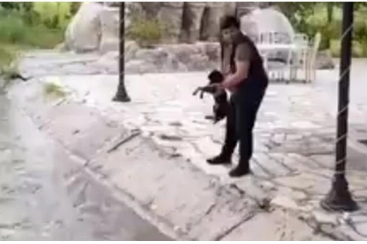 İti su kanalına atan şəxslə bağlı araşdırma aparılır — VİDEO