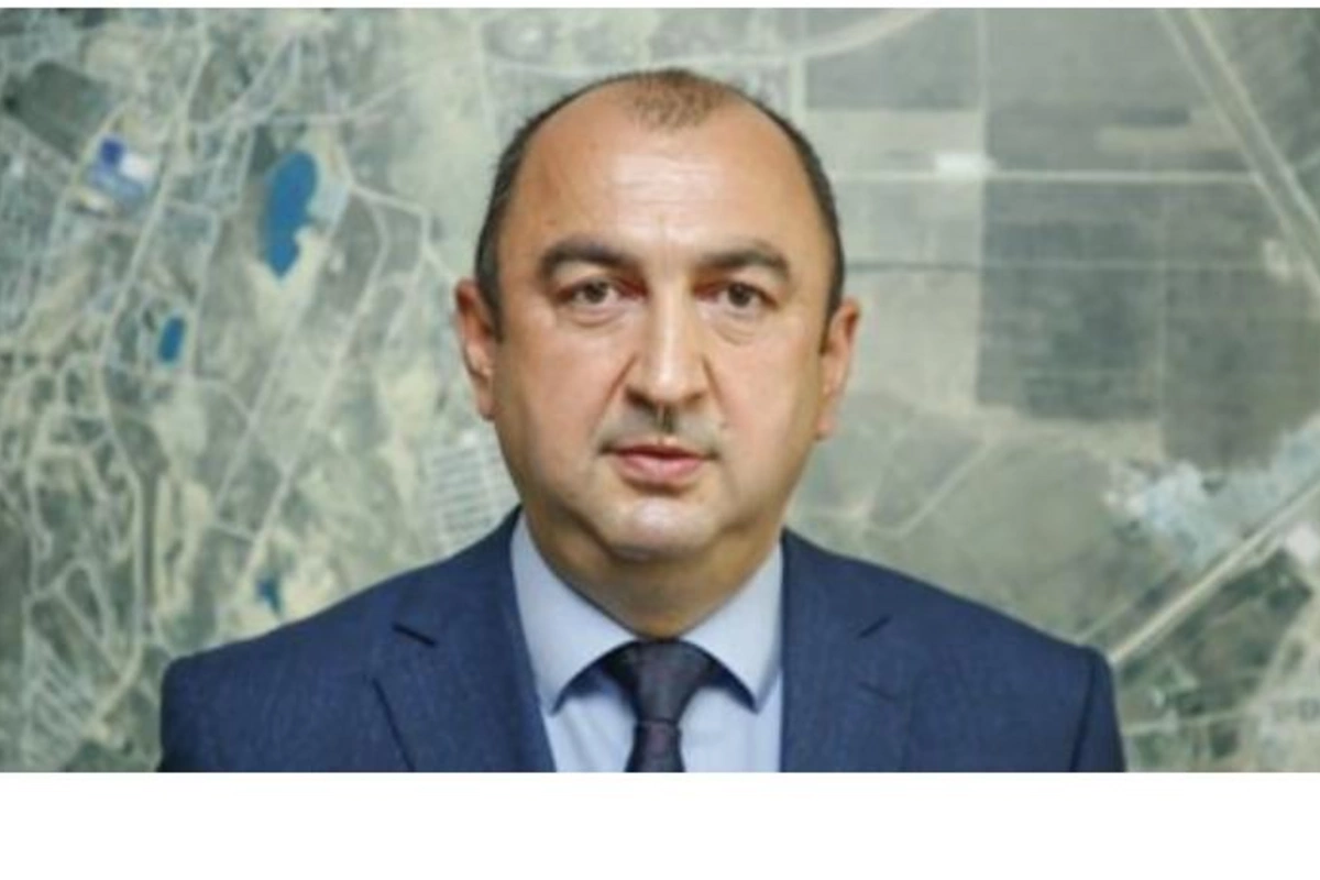 Nazirlik rəsmisi: Əhali istilik ehtiyacını ödəyə bilmədikdə meşələrə üz tutacaq”