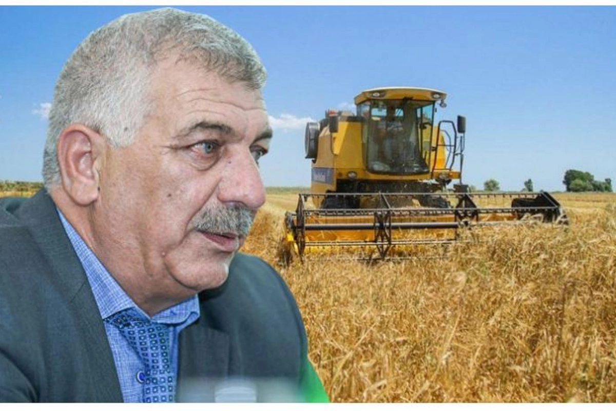 Taxıl Fondunun rəisi söz verdi: “Taxıl boldur, çörək bahalaşmayacaq”